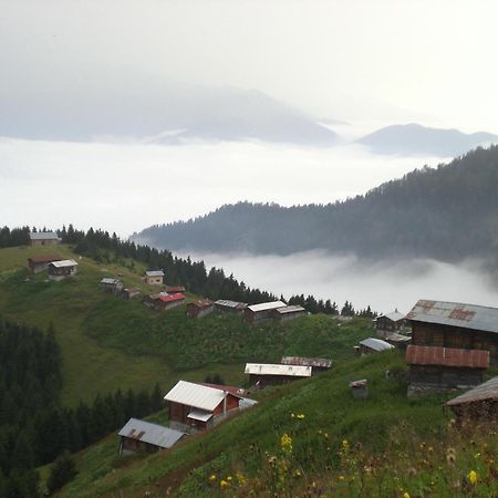 Ayder Hasimoglu Hotel Exterior foto